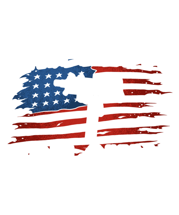Ran Idiots Not Guns