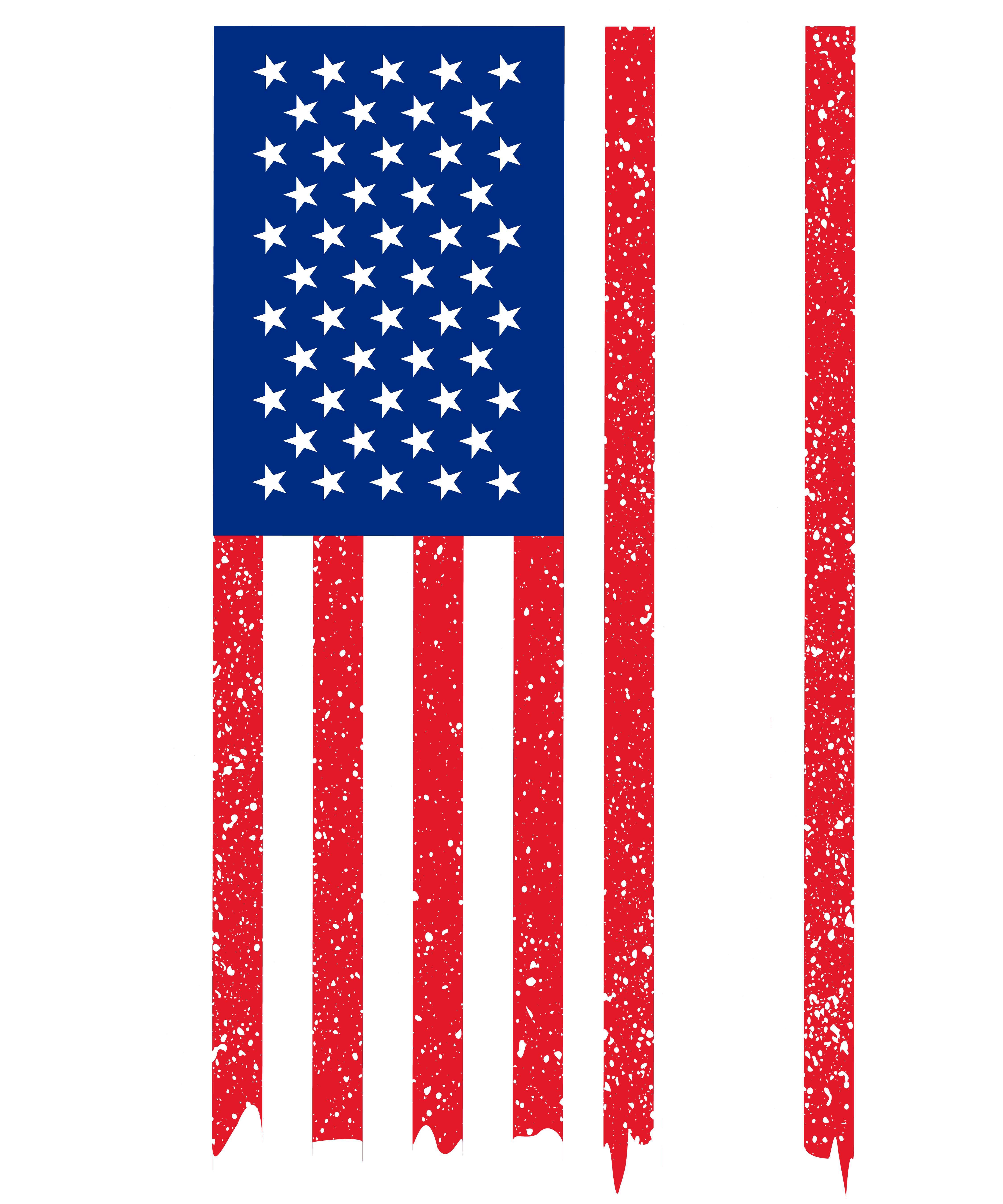 US Citizen Est 2022 USA Flag