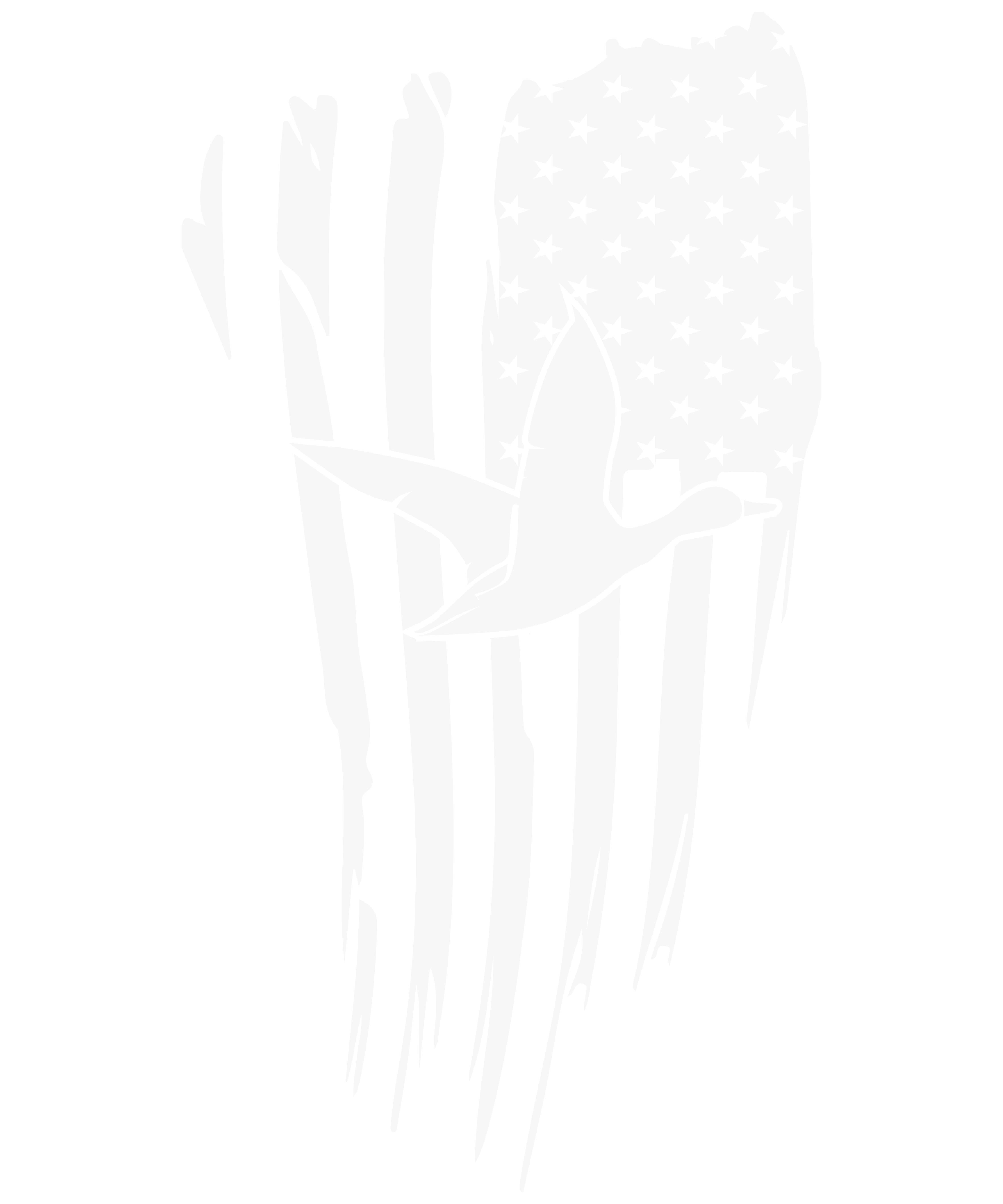 USA Flag With Duck Hunting