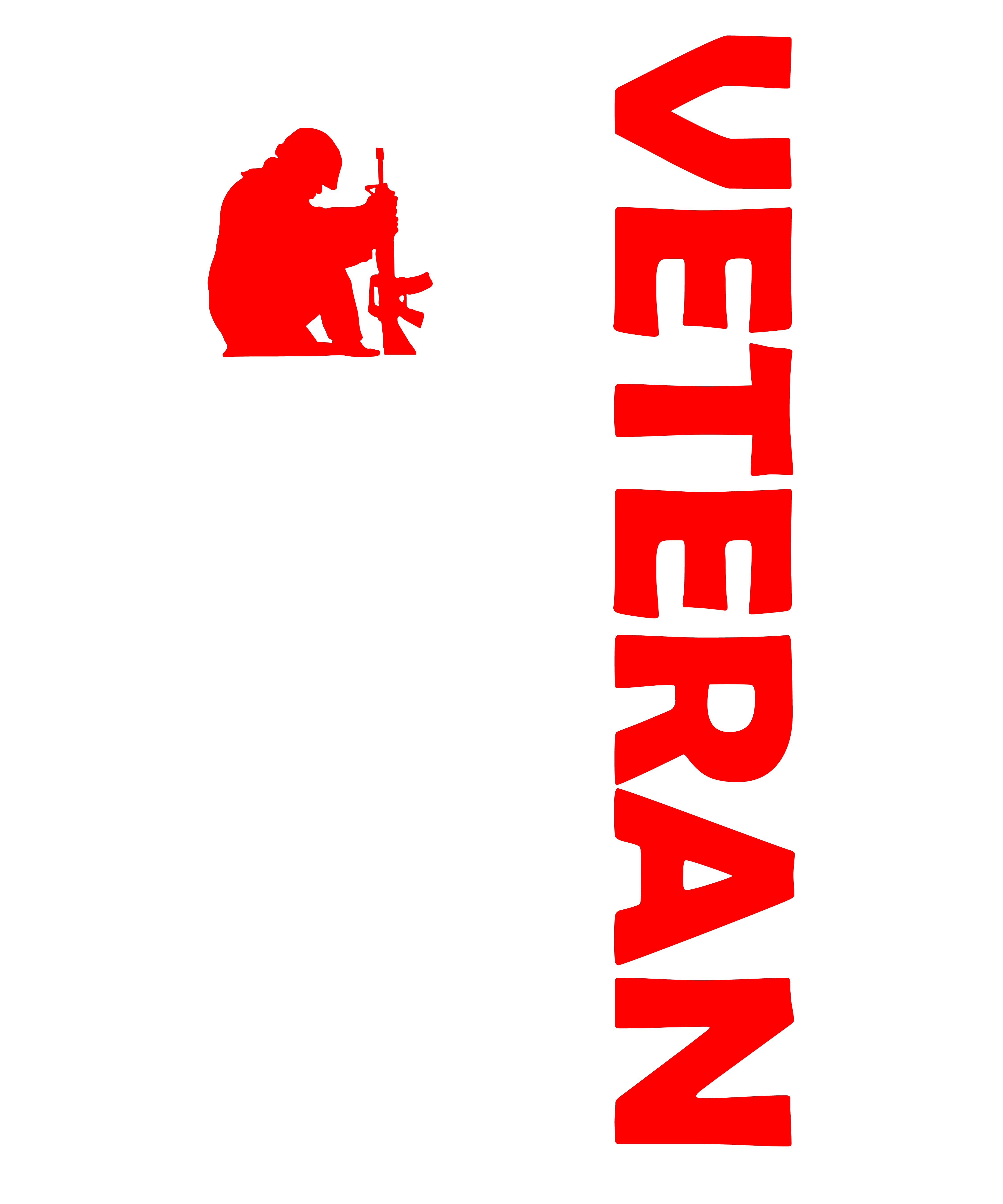 Veteran USA Flag