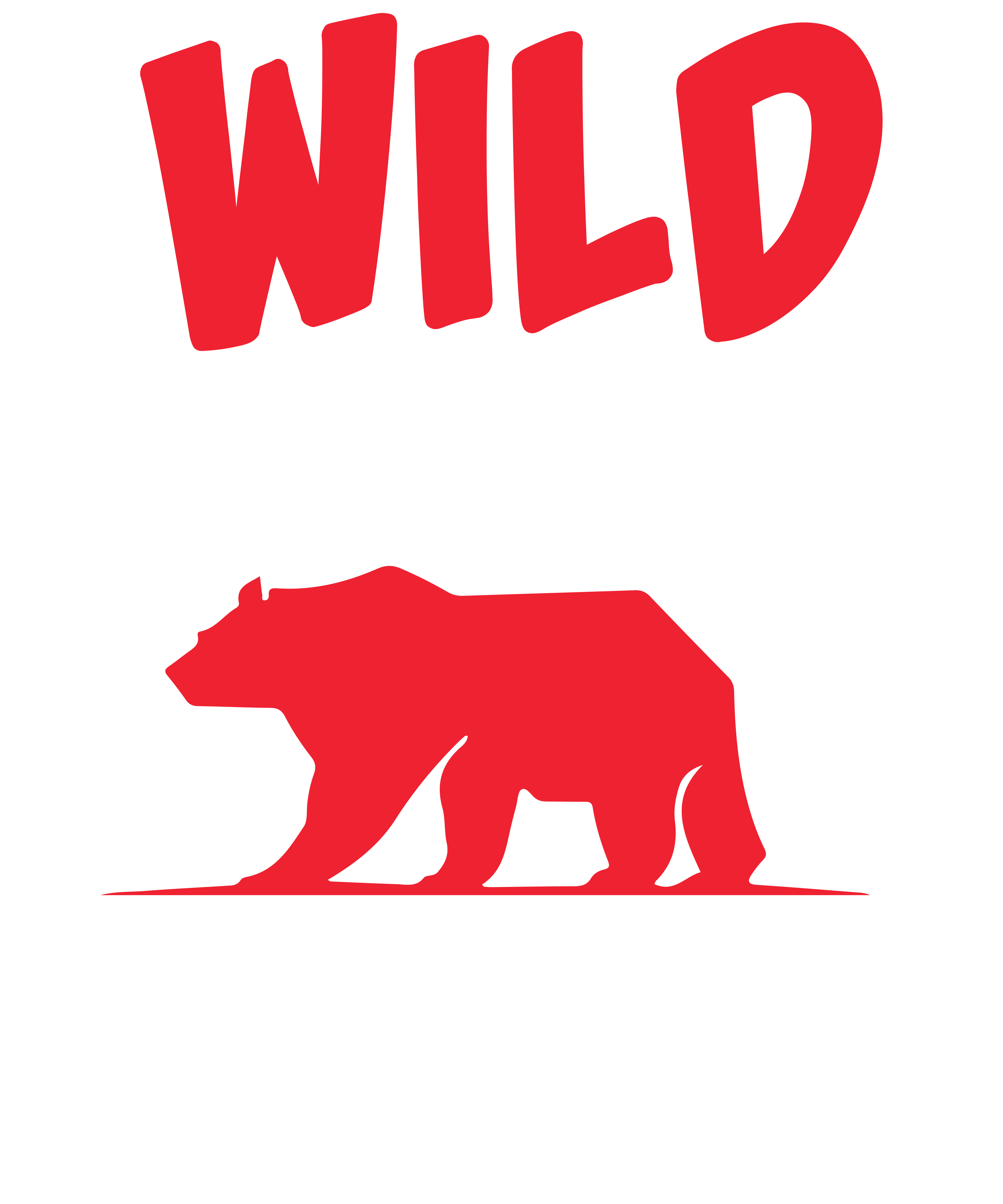 Wild Outdoor Hunting